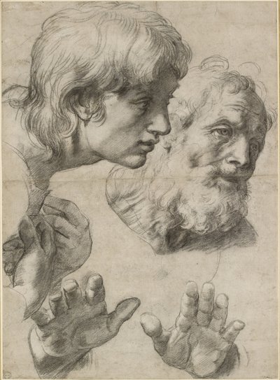 Studies of the heads of two apostles and of their hands by Raffaello Sanzio Raphael